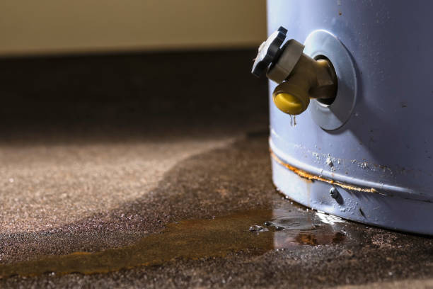 Best Flood restoration services  in Gardner, IL