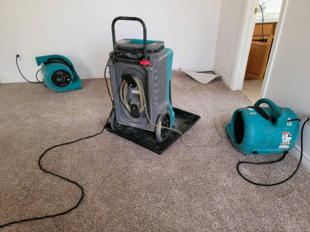 Best Water damage cleanup near me  in Gardner, IL