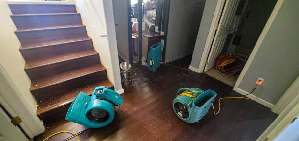Best Carpet water damage restoration  in Gardner, IL