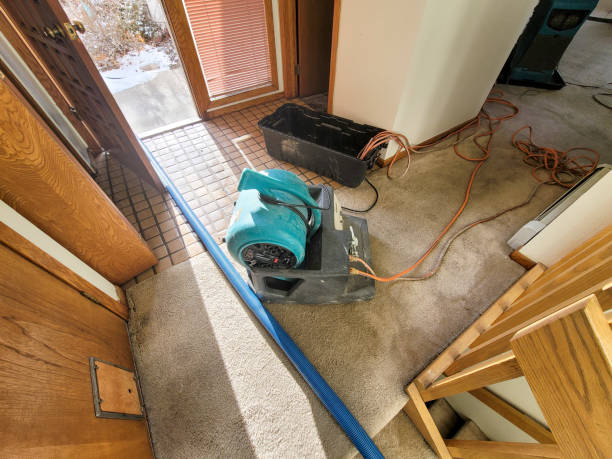 Best Sewage cleanup and water damage restoration  in Gardner, IL