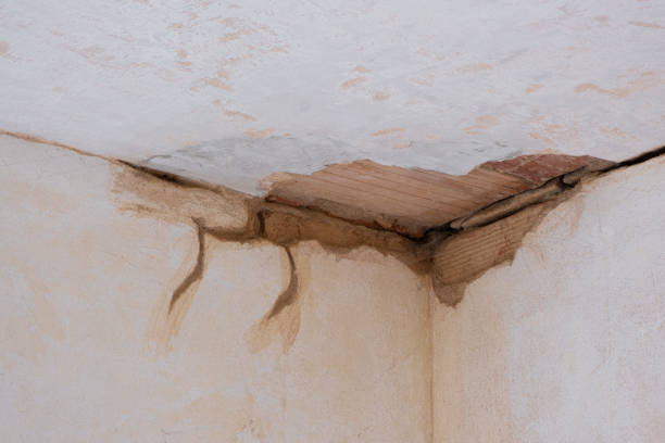 Best Professional water damage repair  in Gardner, IL