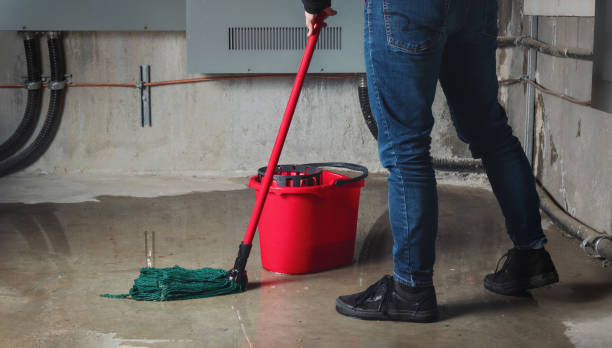 Best Water damage contractors near me  in Gardner, IL