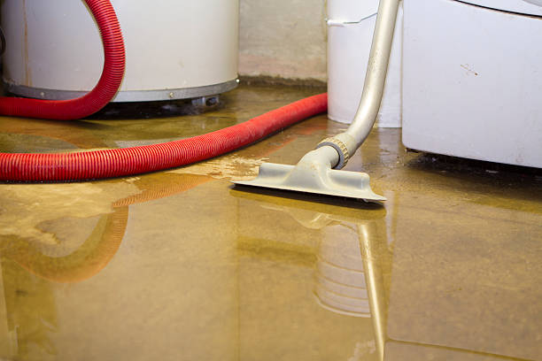 Best Flood restoration services  in Gardner, IL