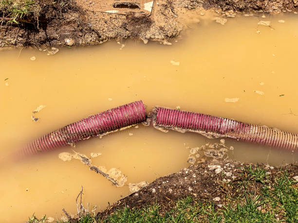 Best 24/7 water damage repair  in Gardner, IL